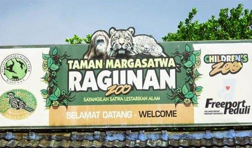 Liburan Idul Fitri ke Ragunan