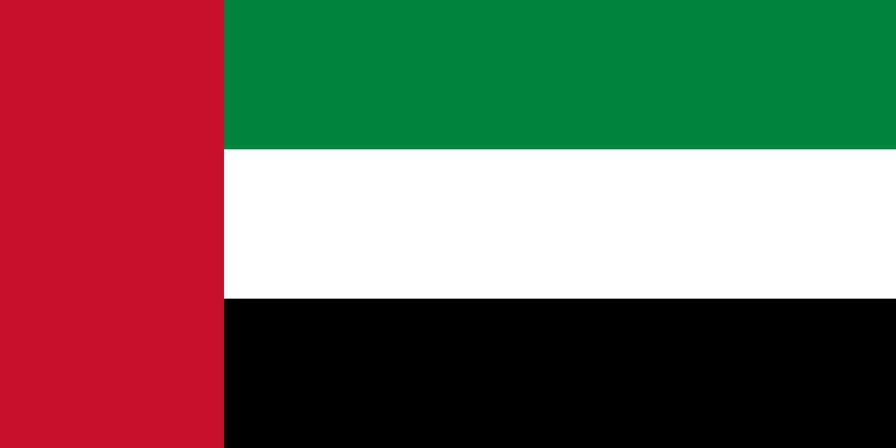 VISA DUBAI